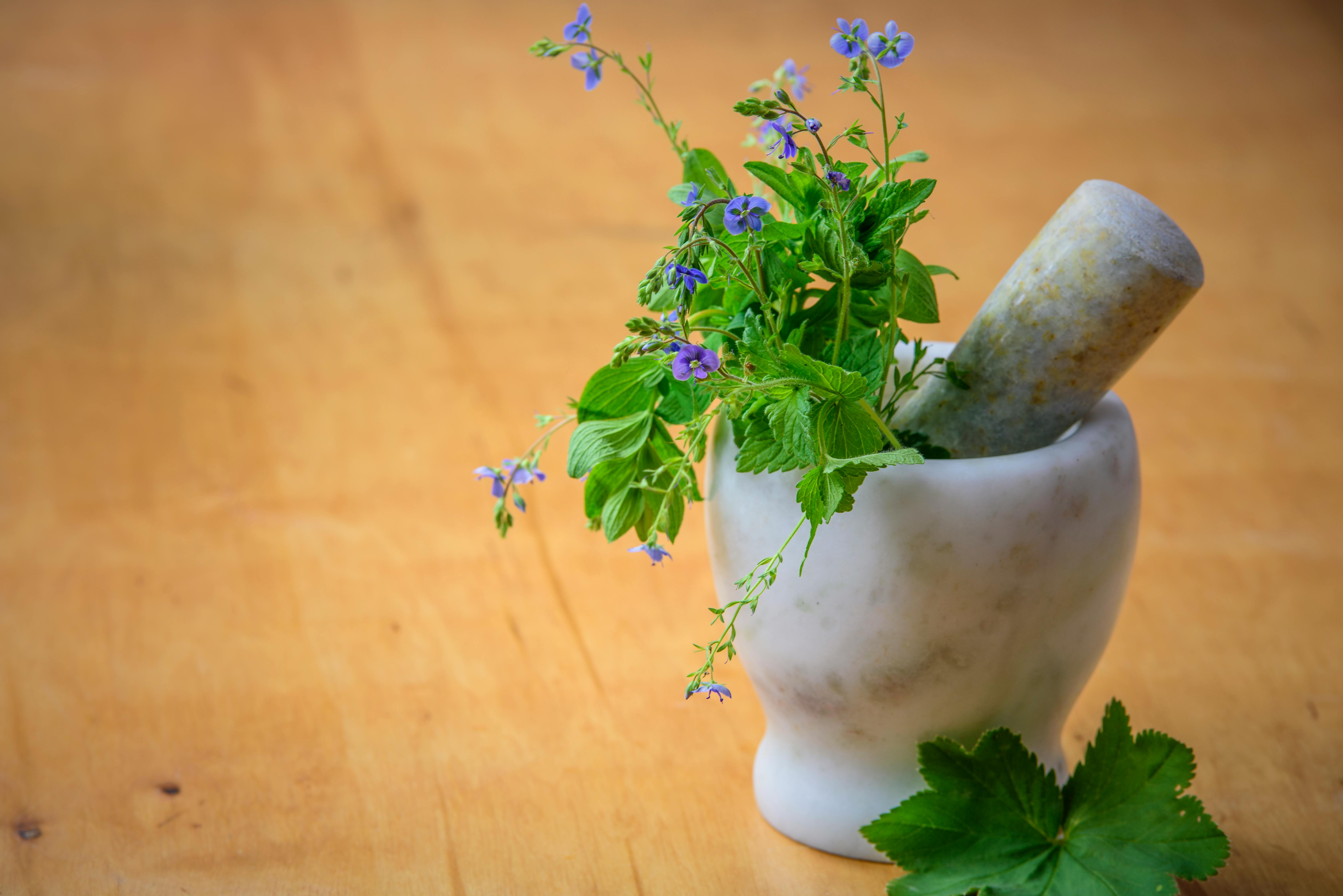 Şifalı Bitkiler ( Medicinal Plants )